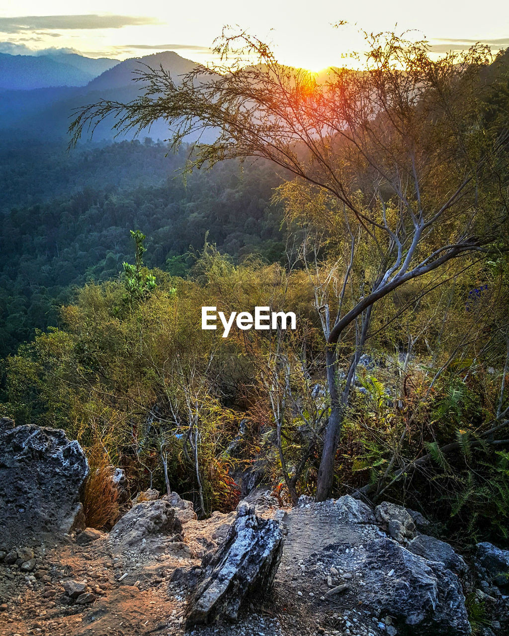 SCENIC VIEW OF WATERFALL AGAINST SKY