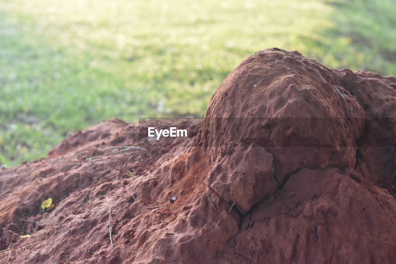 CLOSE-UP OF ROCK FORMATION ON LAND