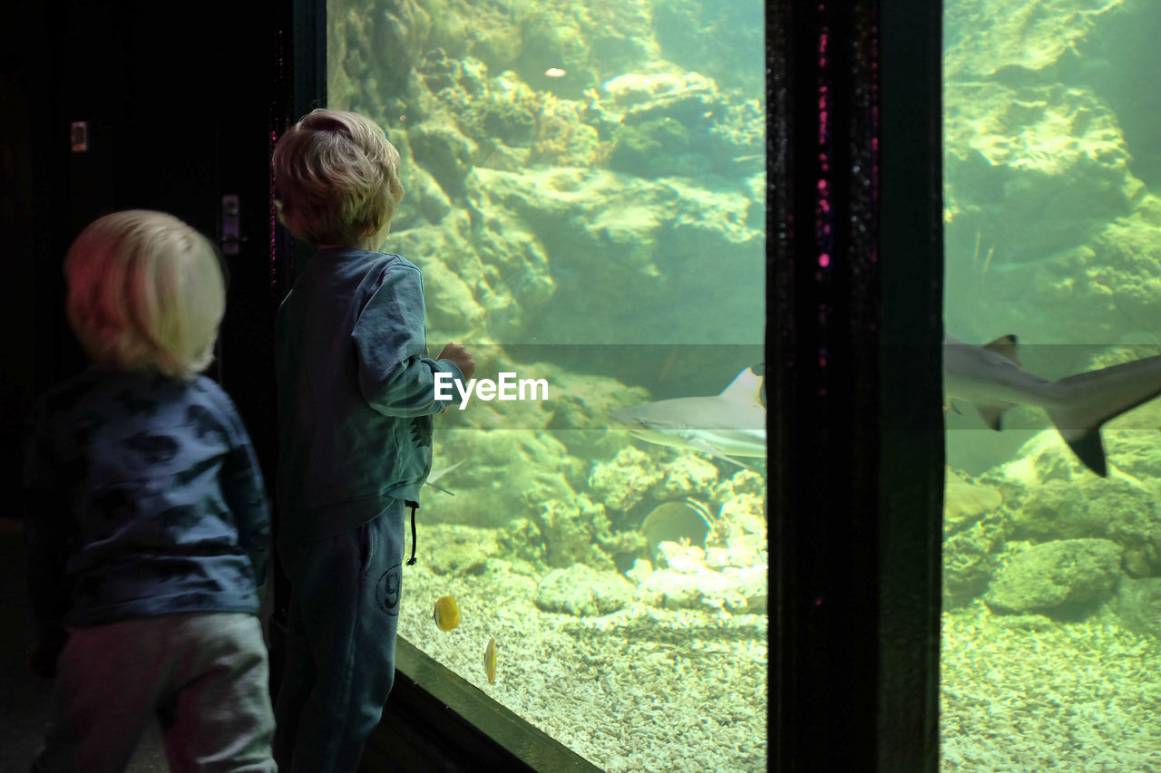 Rear view of two children at an aquarium