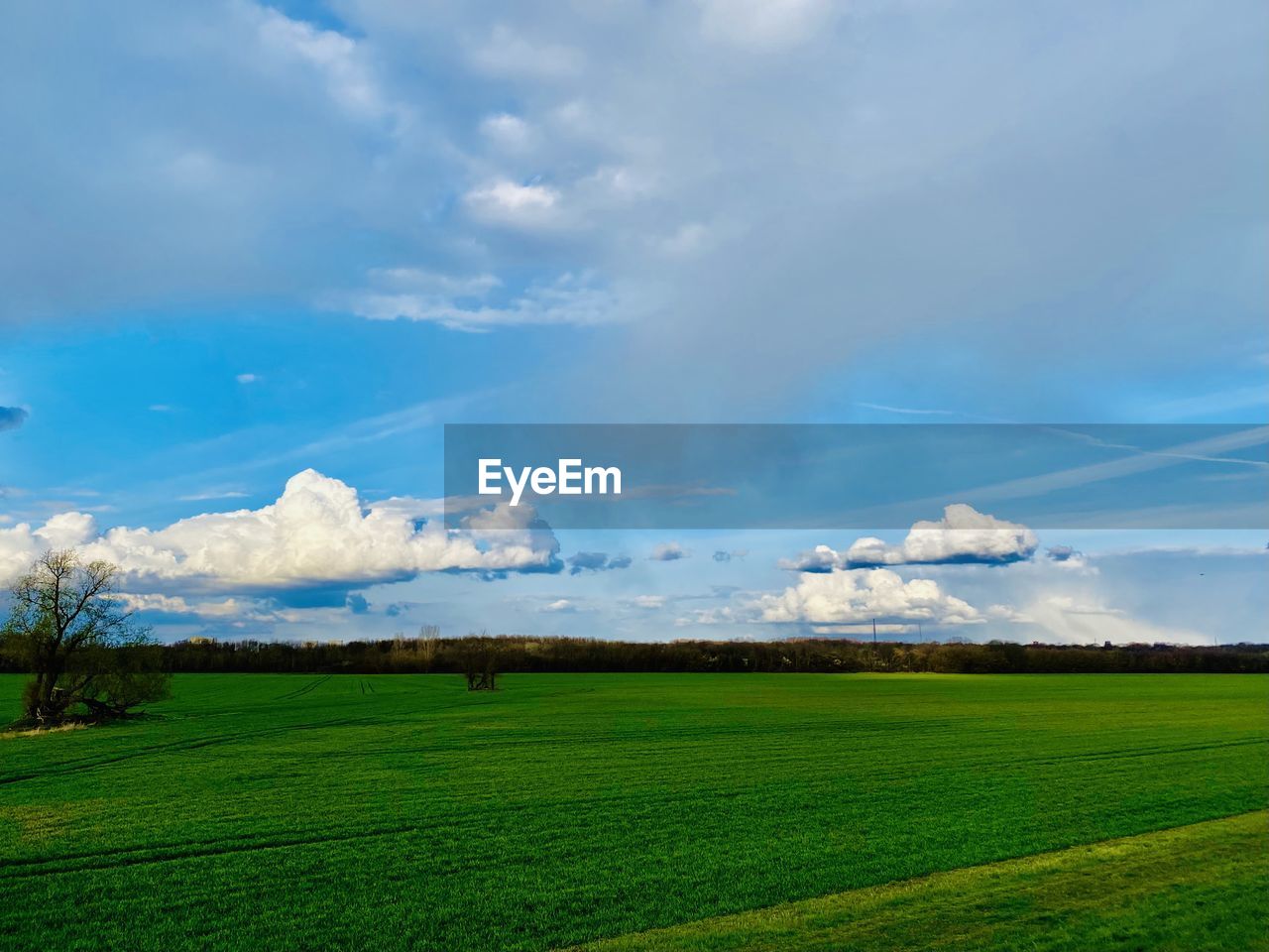 SCENIC VIEW OF AGRICULTURAL LANDSCAPE AGAINST SKY