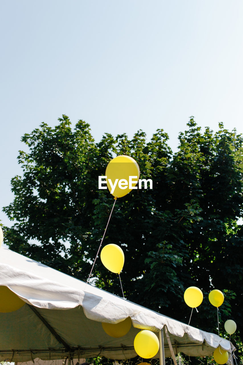 Low angle view of balloons against trees