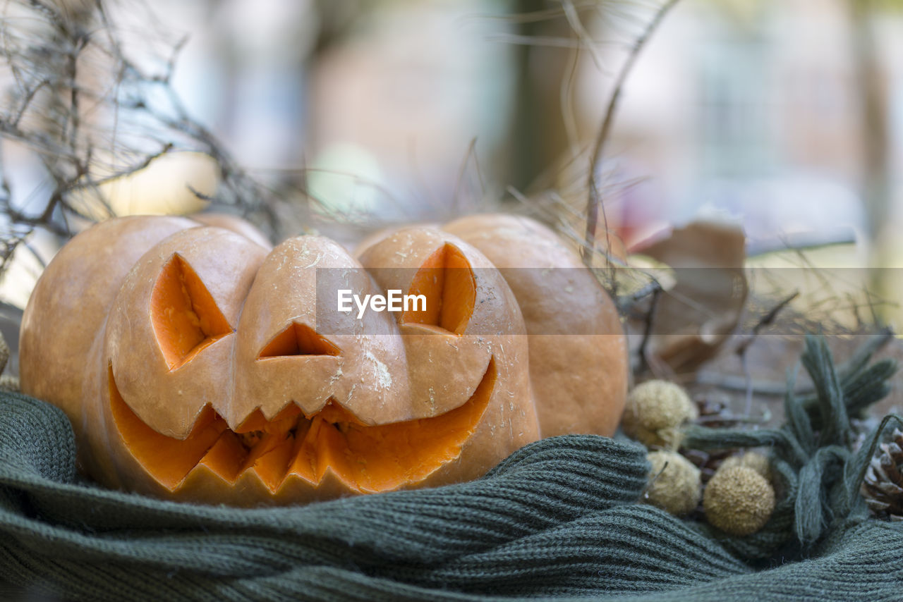 Close-up of pumpkin on cutting board