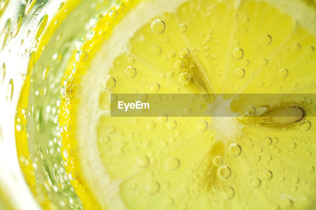 CLOSE-UP OF LEMON IN WATER