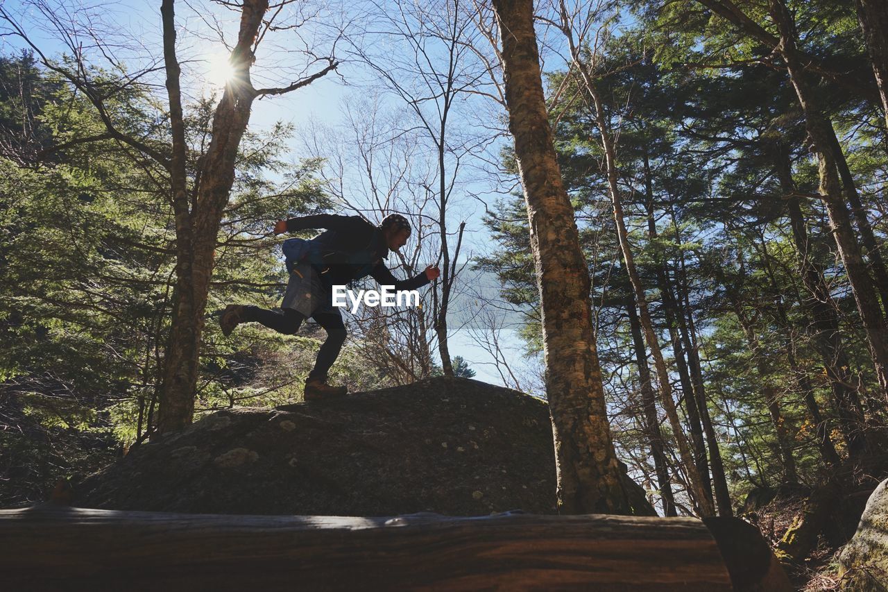 LOW ANGLE VIEW OF MAN AGAINST TREES