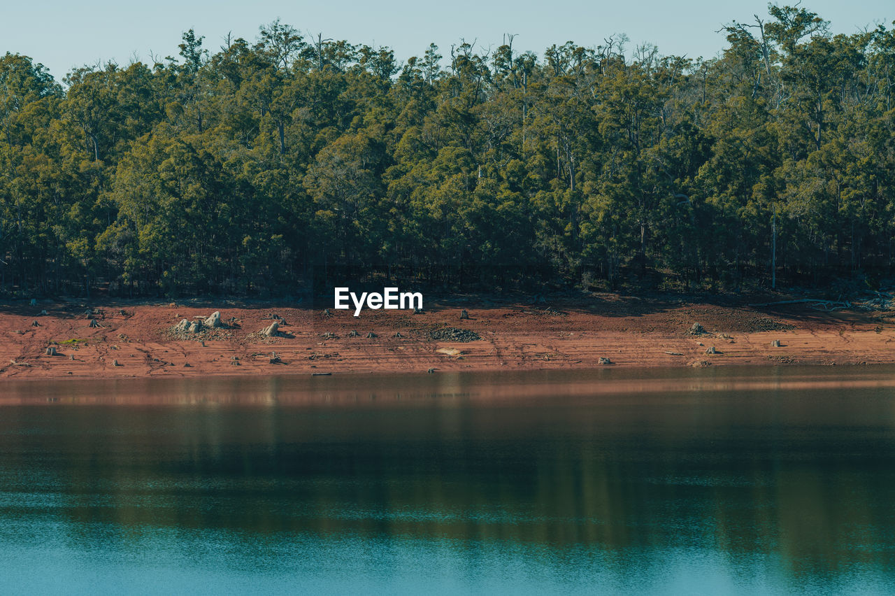 Scenic view of lake by trees