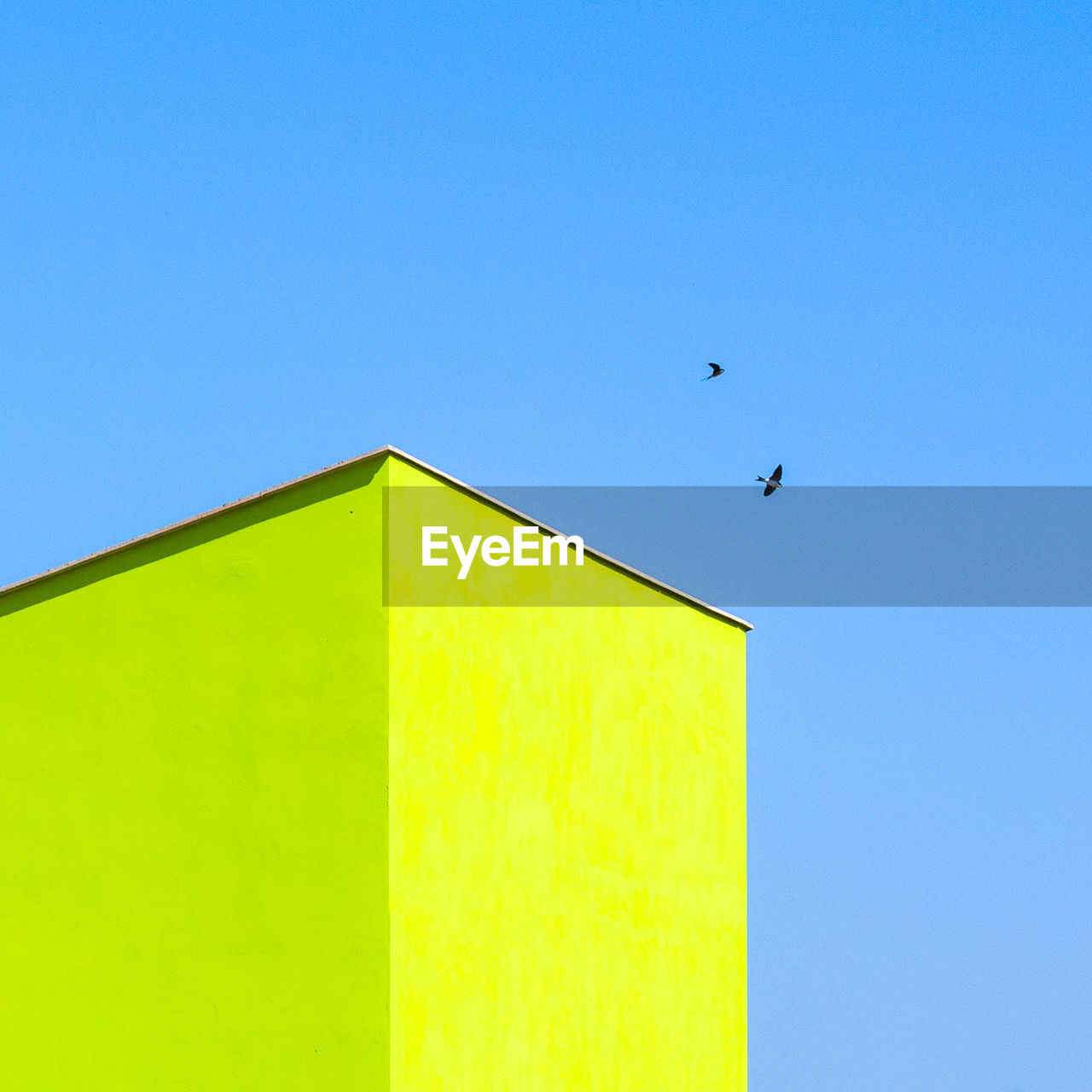 LOW ANGLE VIEW OF BIRD FLYING IN SKY