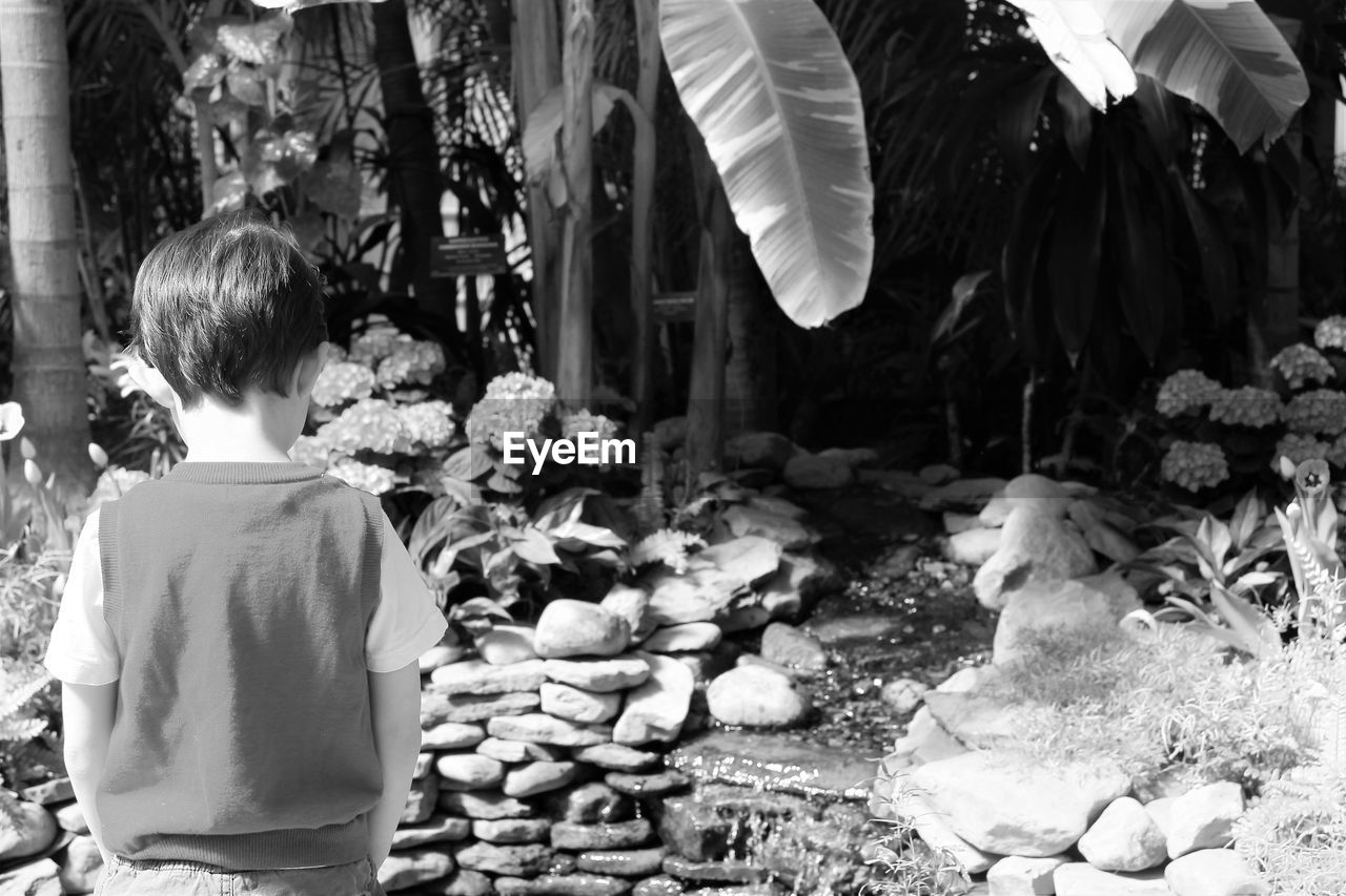 Rear view of boy standing at park