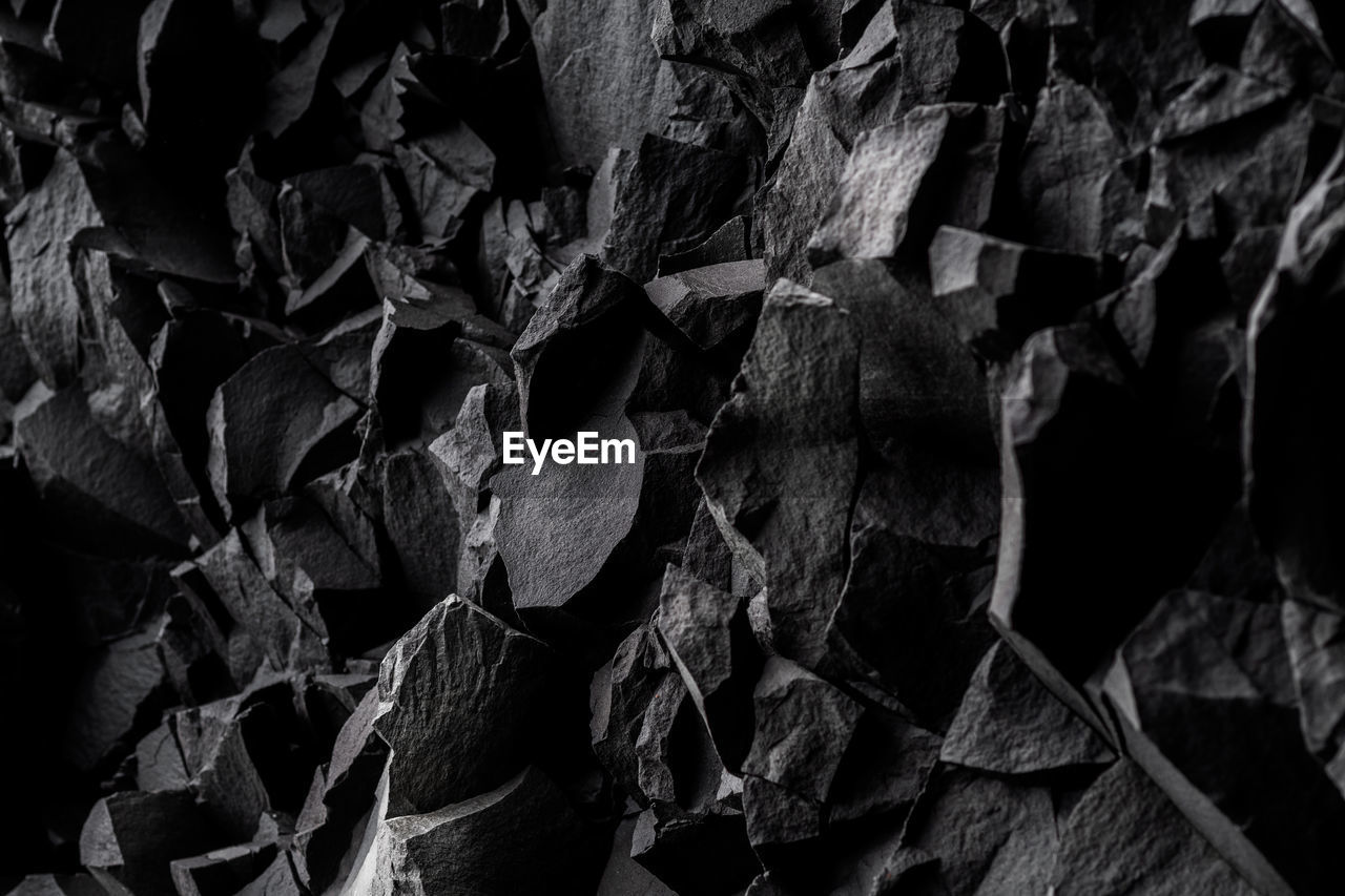 FULL FRAME SHOT OF LEAVES ON ROCK