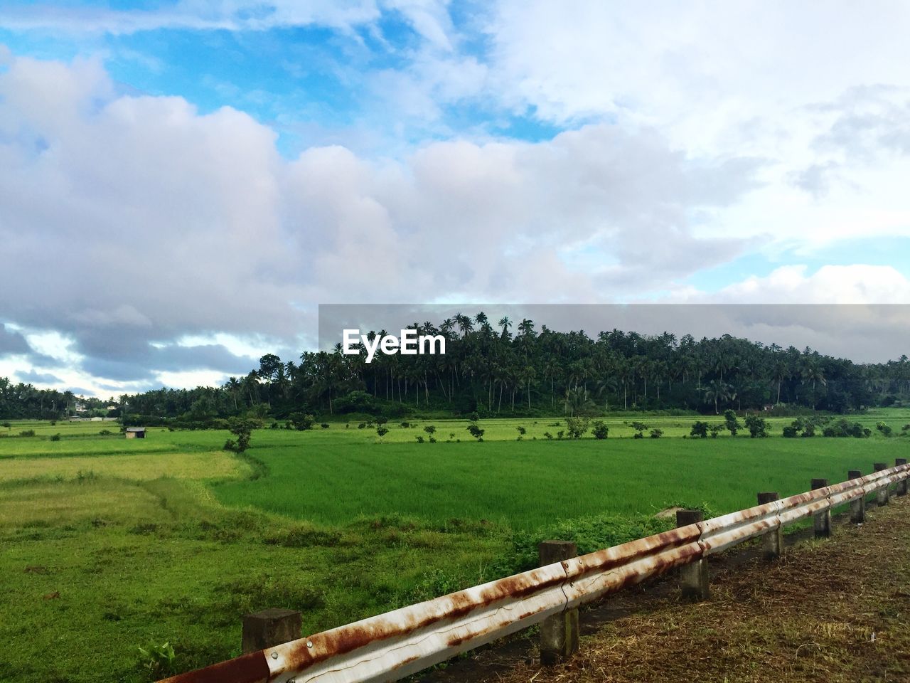 Scenic view of grassy field against cloudy sky