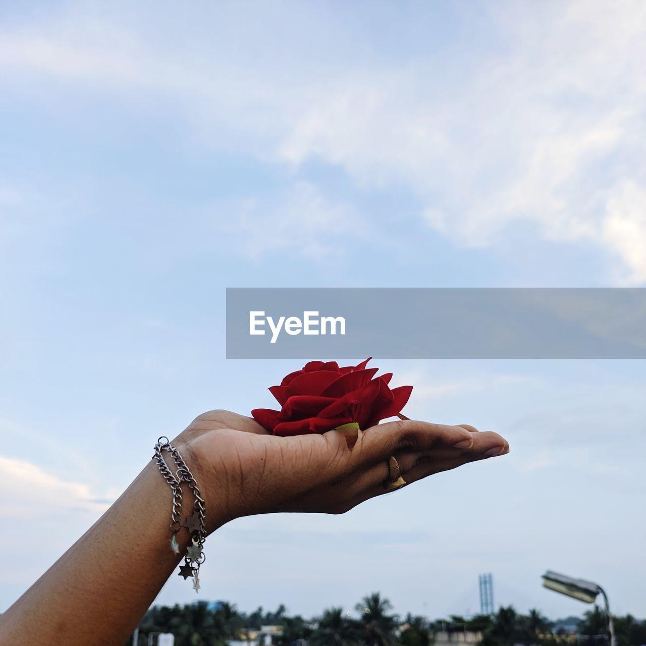 CLOSE-UP OF WOMAN HAND HOLDING RED FLOWER AGAINST SKY