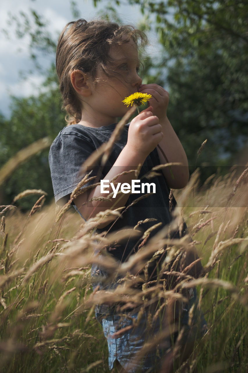 Girl holding dandelion flower in a field