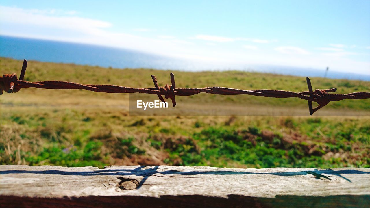 Close-up of barbed wire on field against sky