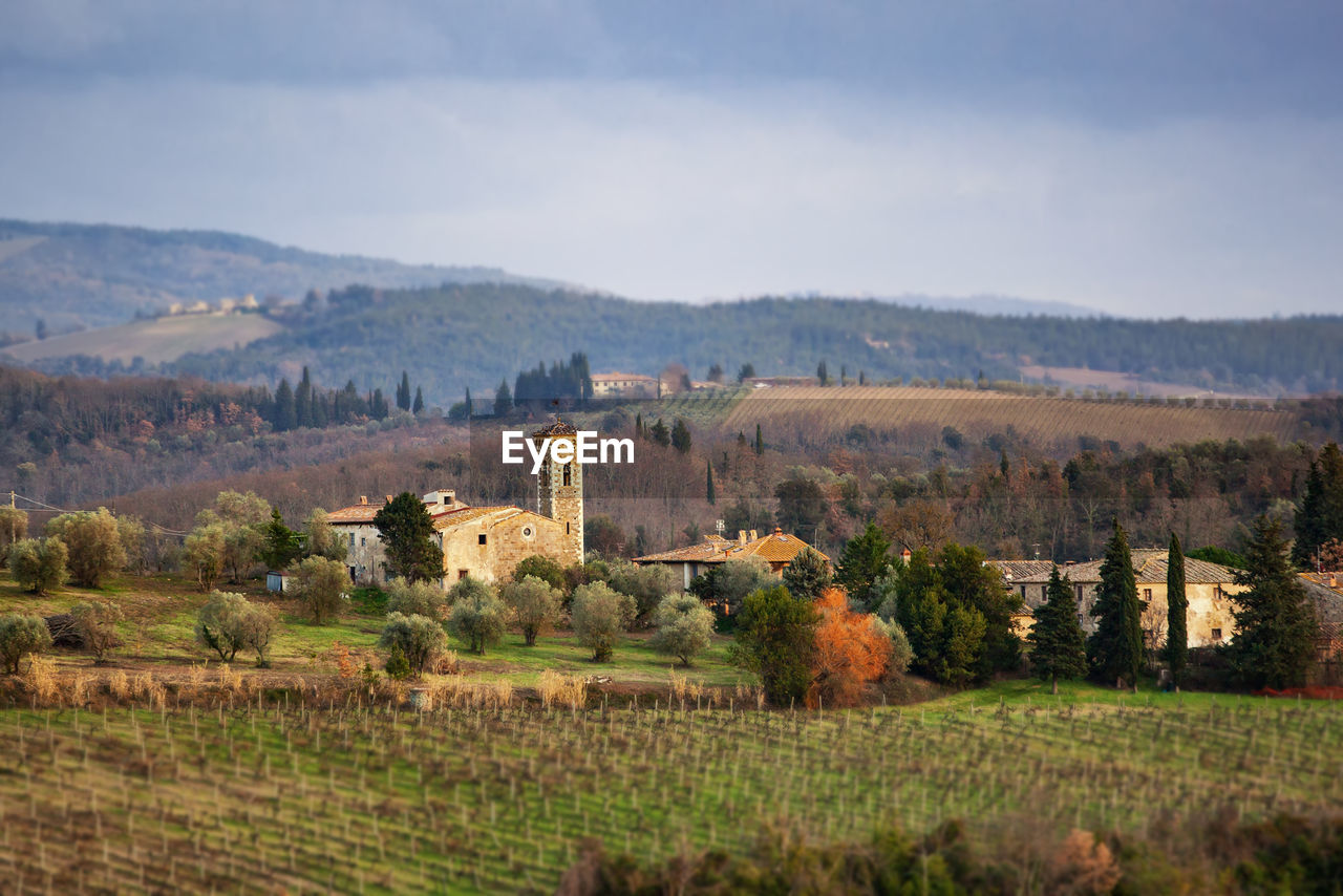 Tuscany hills rural countryside landscape, cypress passages and vineyards. wheat, olives cultivation