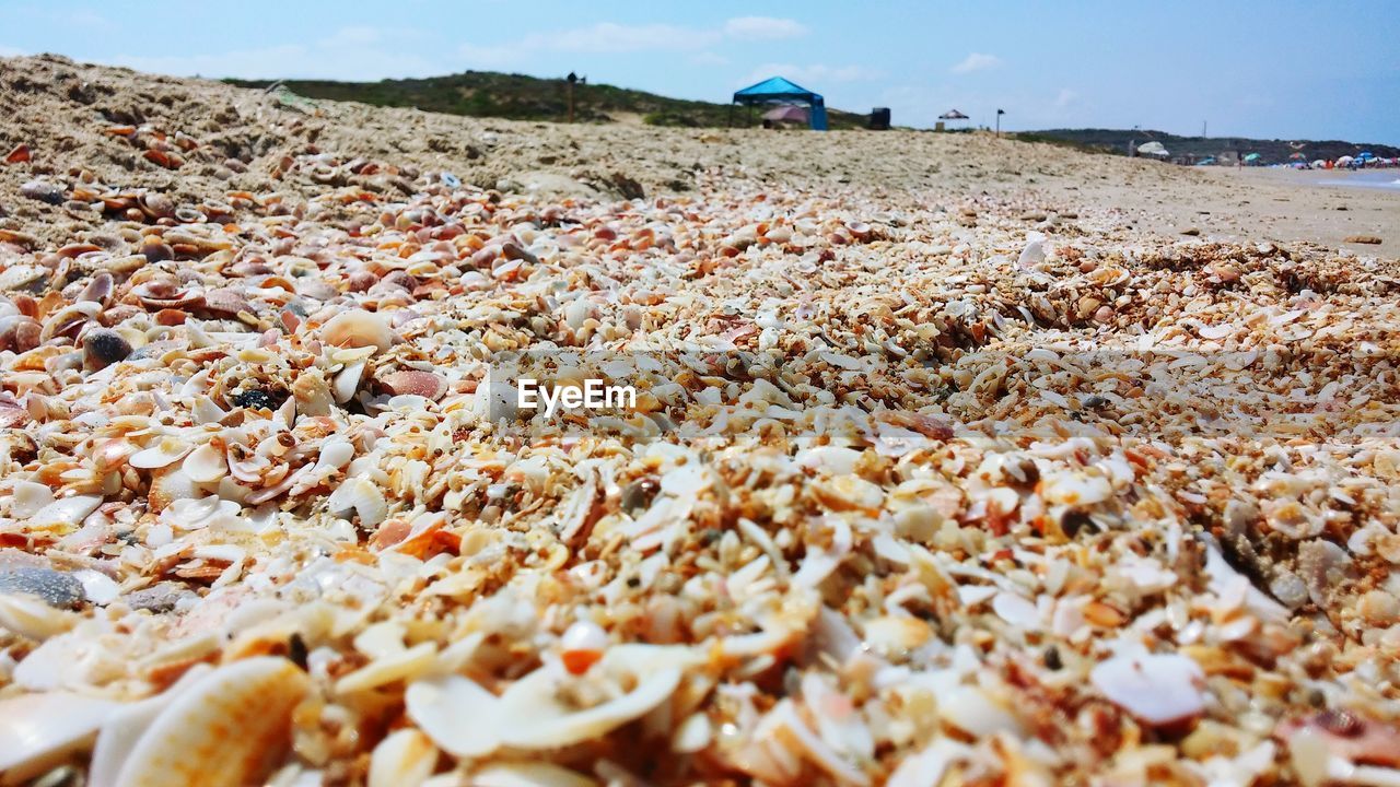 Surface level of beach