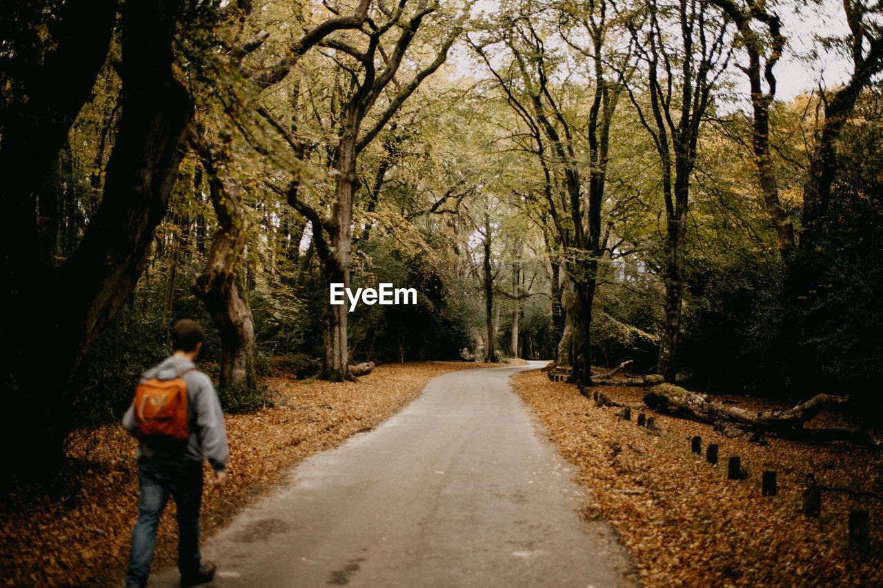 Rear view of man walking on road amidst trees