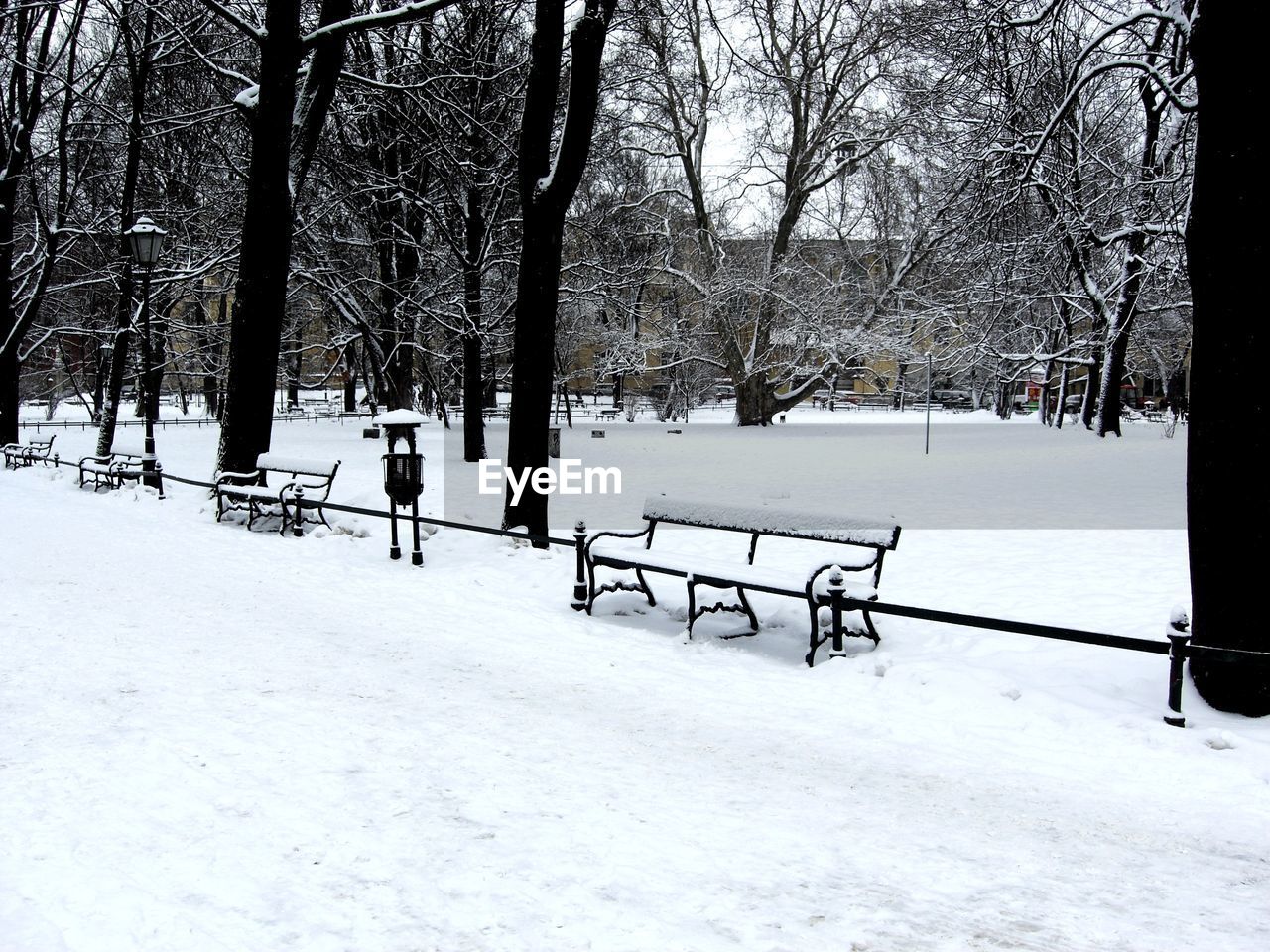 SNOW COVERED LANDSCAPE AND BARE TREES