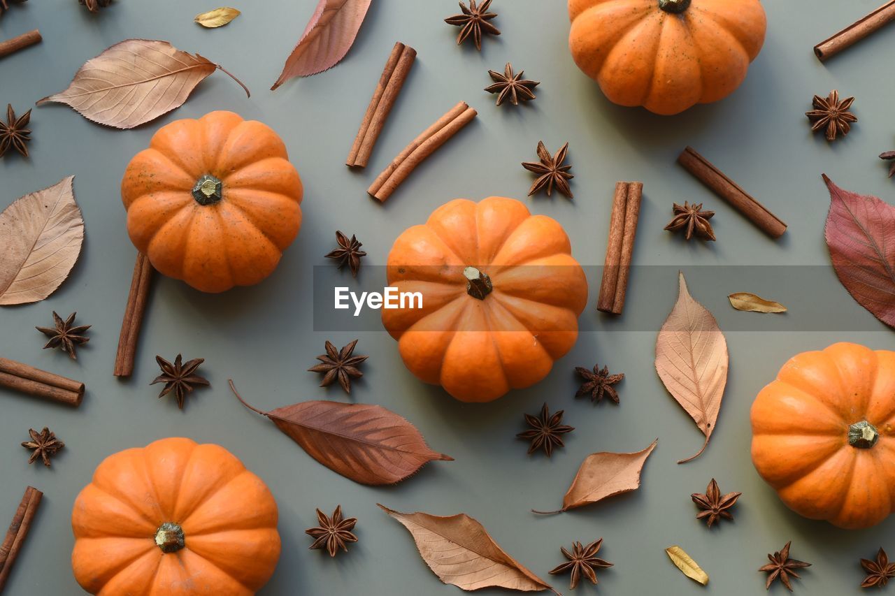 High angle view of pumpkins on table