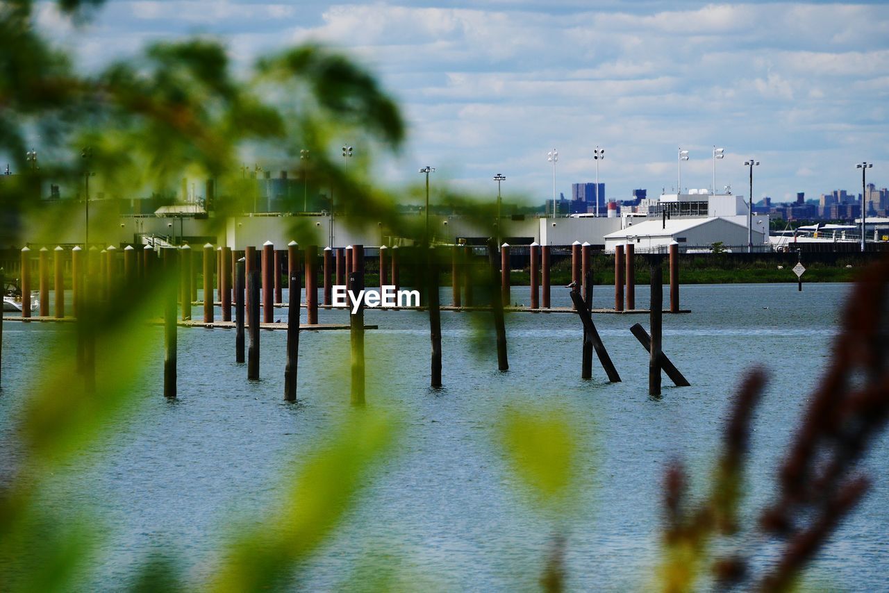 Wooden posts in river