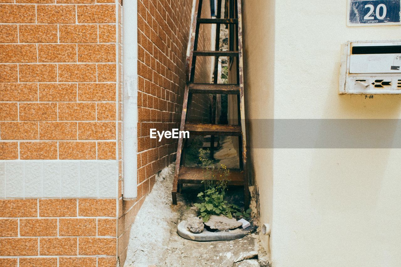 Ladder amidst buildings