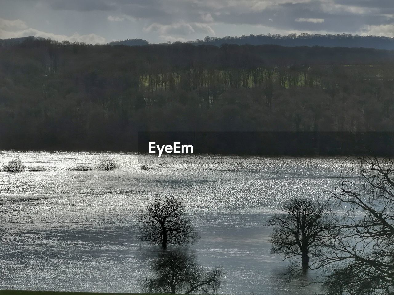 SCENIC VIEW OF LAKE AGAINST TREES