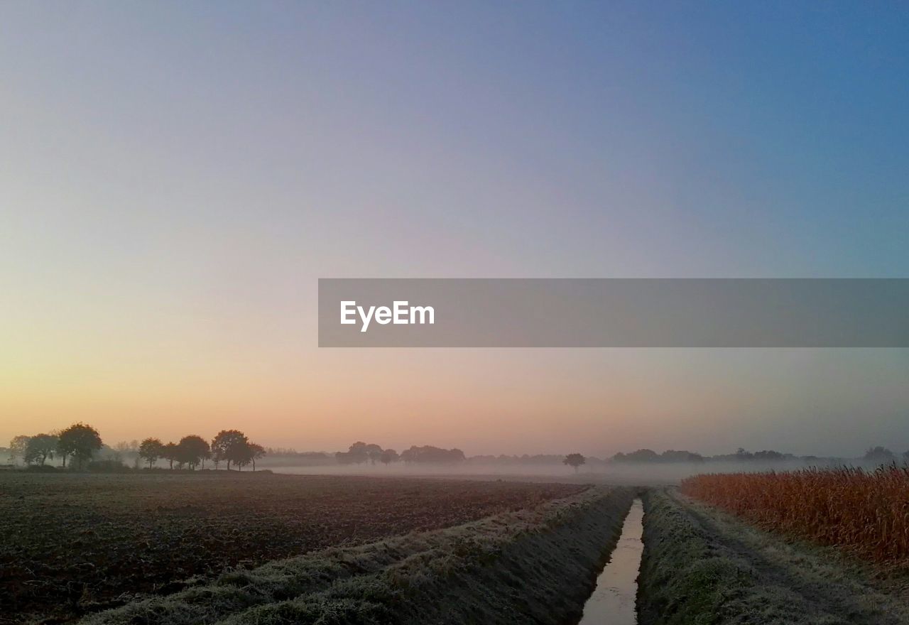 Scenic view of agricultural field against clear sky