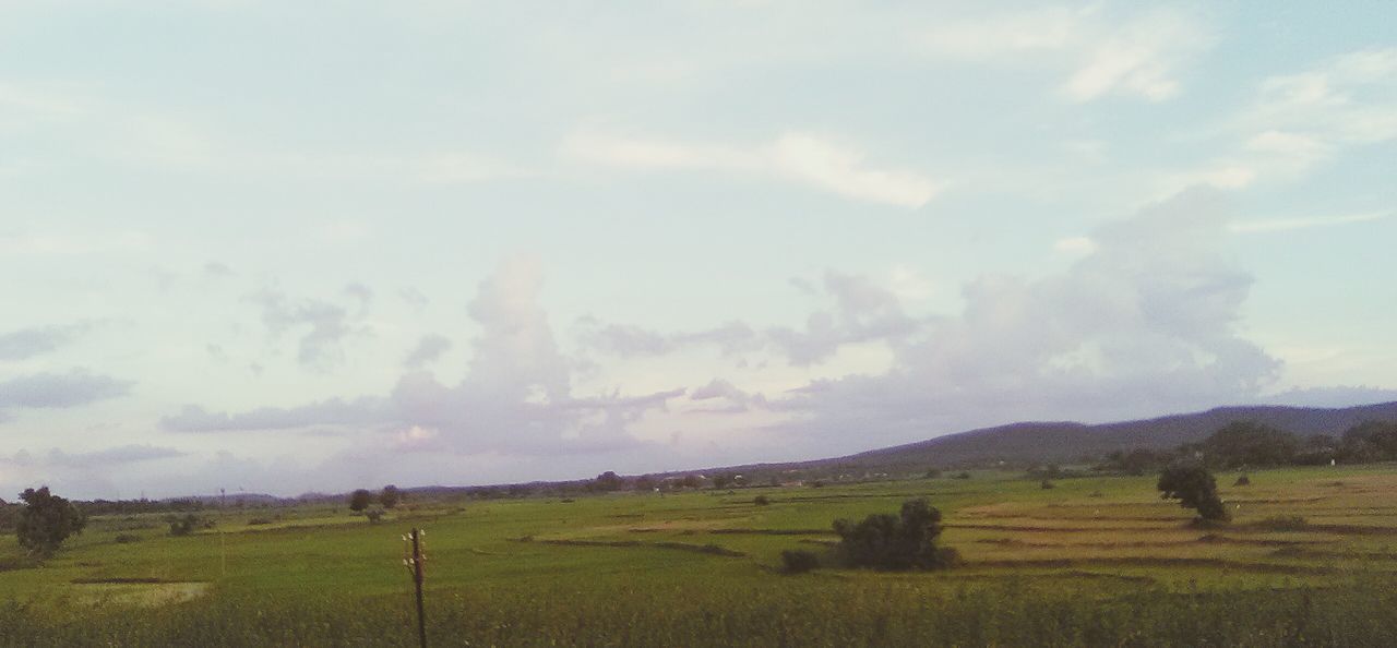 SCENIC VIEW OF RURAL LANDSCAPE