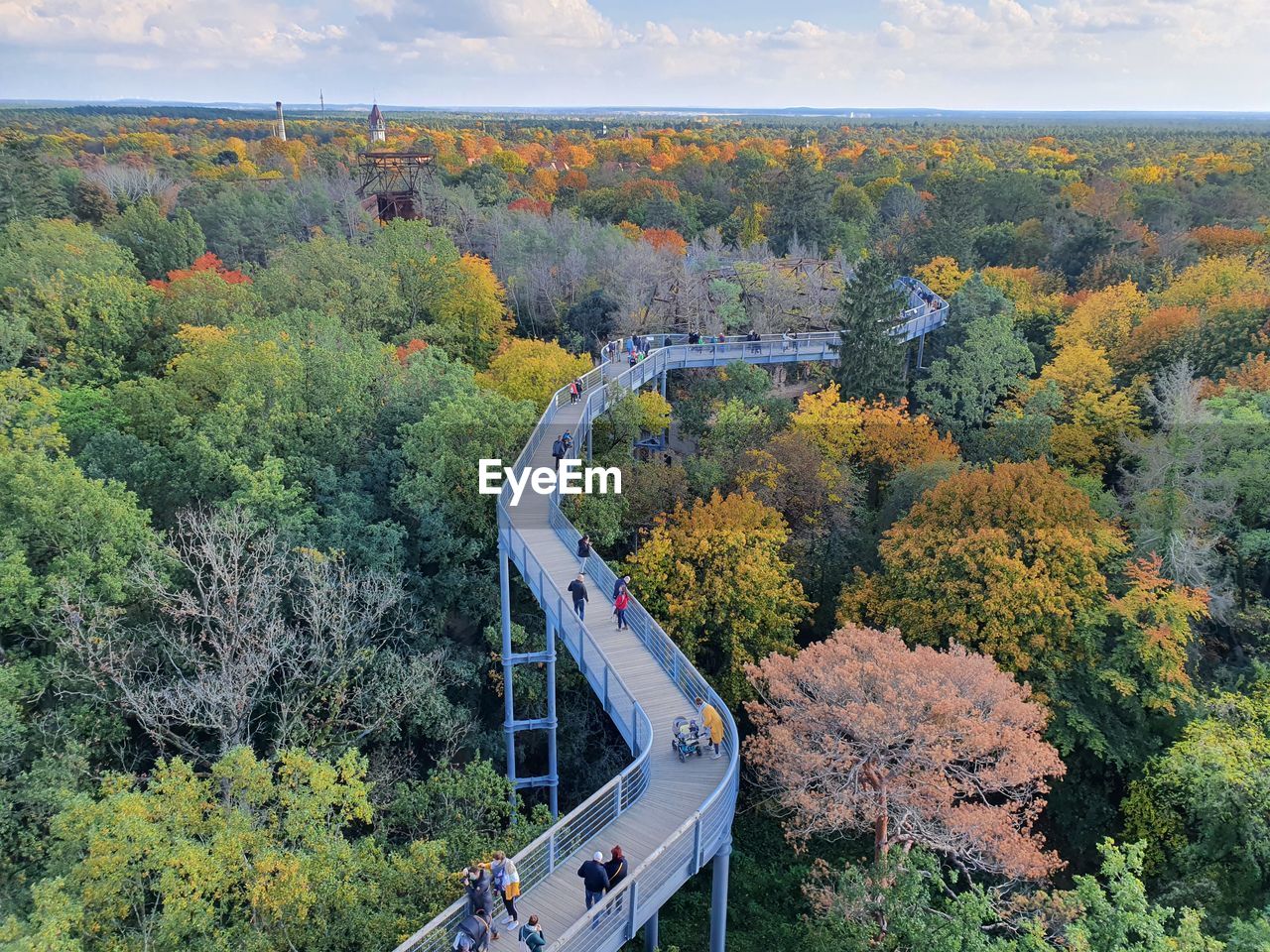 Panoramic view on the canopy walk alongside the colorful treetops in beelitz-heilstätten