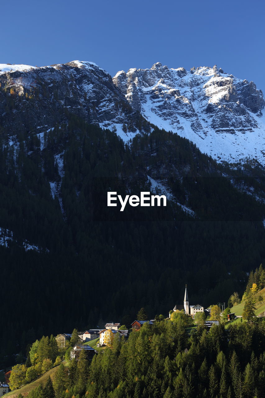 TREES ON SNOWCAPPED MOUNTAINS AGAINST CLEAR SKY