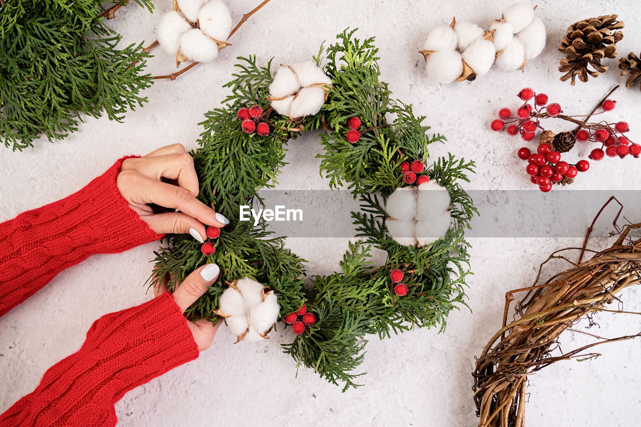 Hands making christmas or new year diy wreath with fir tree branches, cotton and red berries