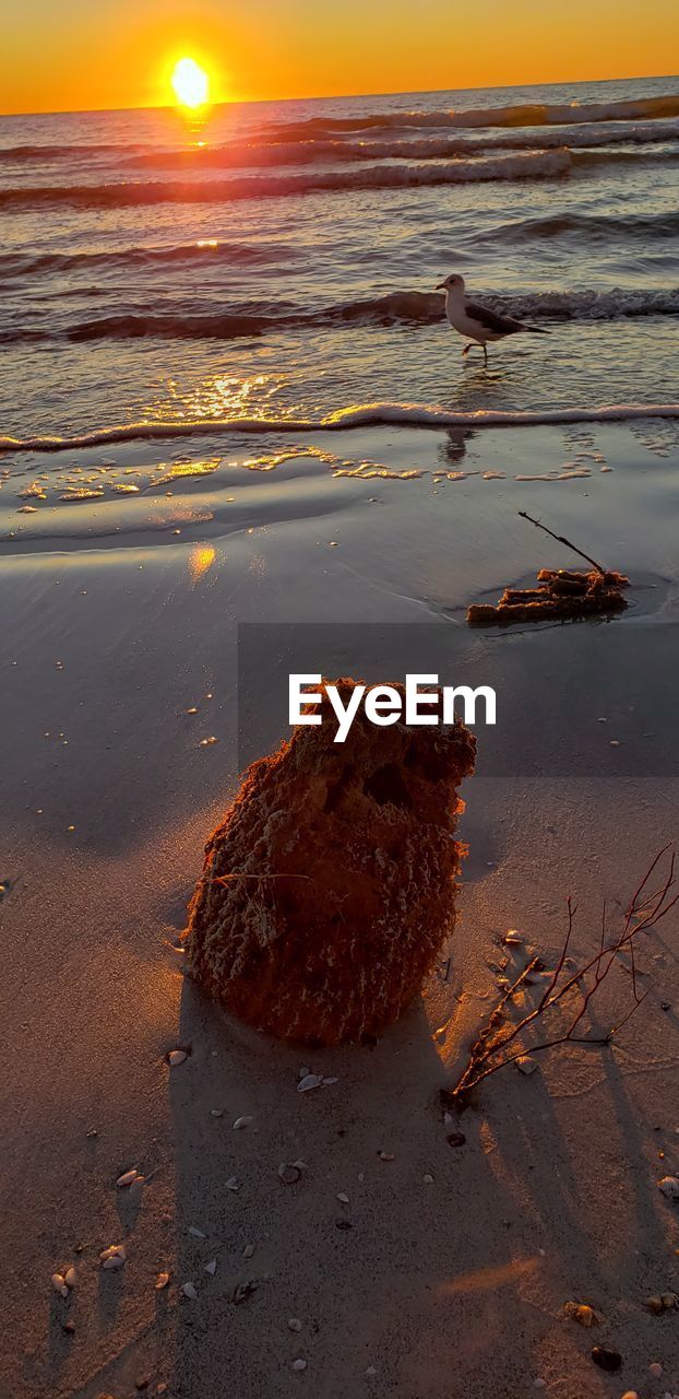 ROCKS ON SHORE AT BEACH DURING SUNSET