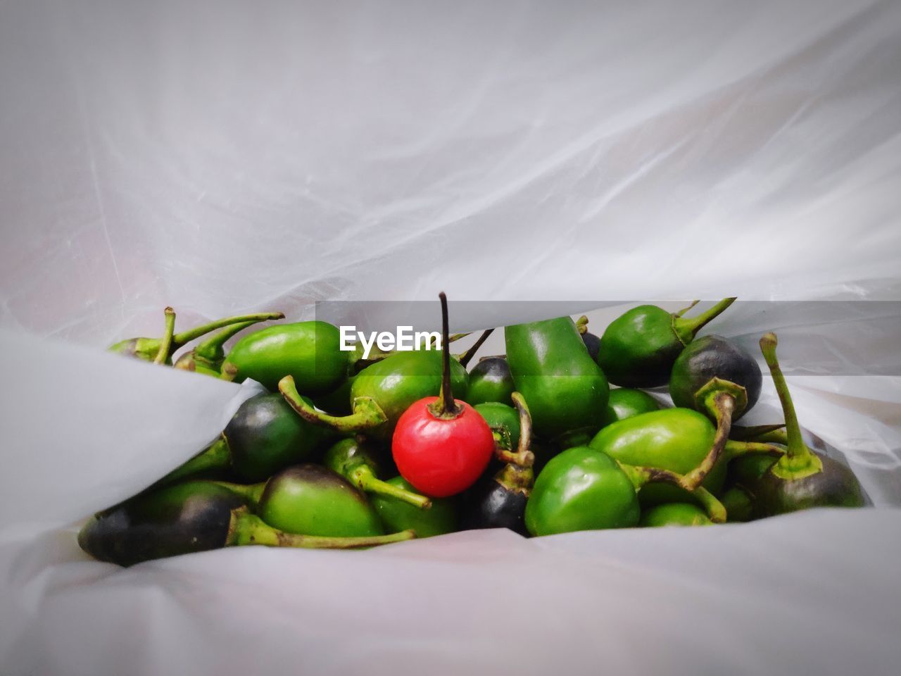 food, food and drink, healthy eating, freshness, wellbeing, vegetable, produce, green, fruit, plant, no people, indoors, pepper, studio shot, still life, organic, close-up, red, nature, flower