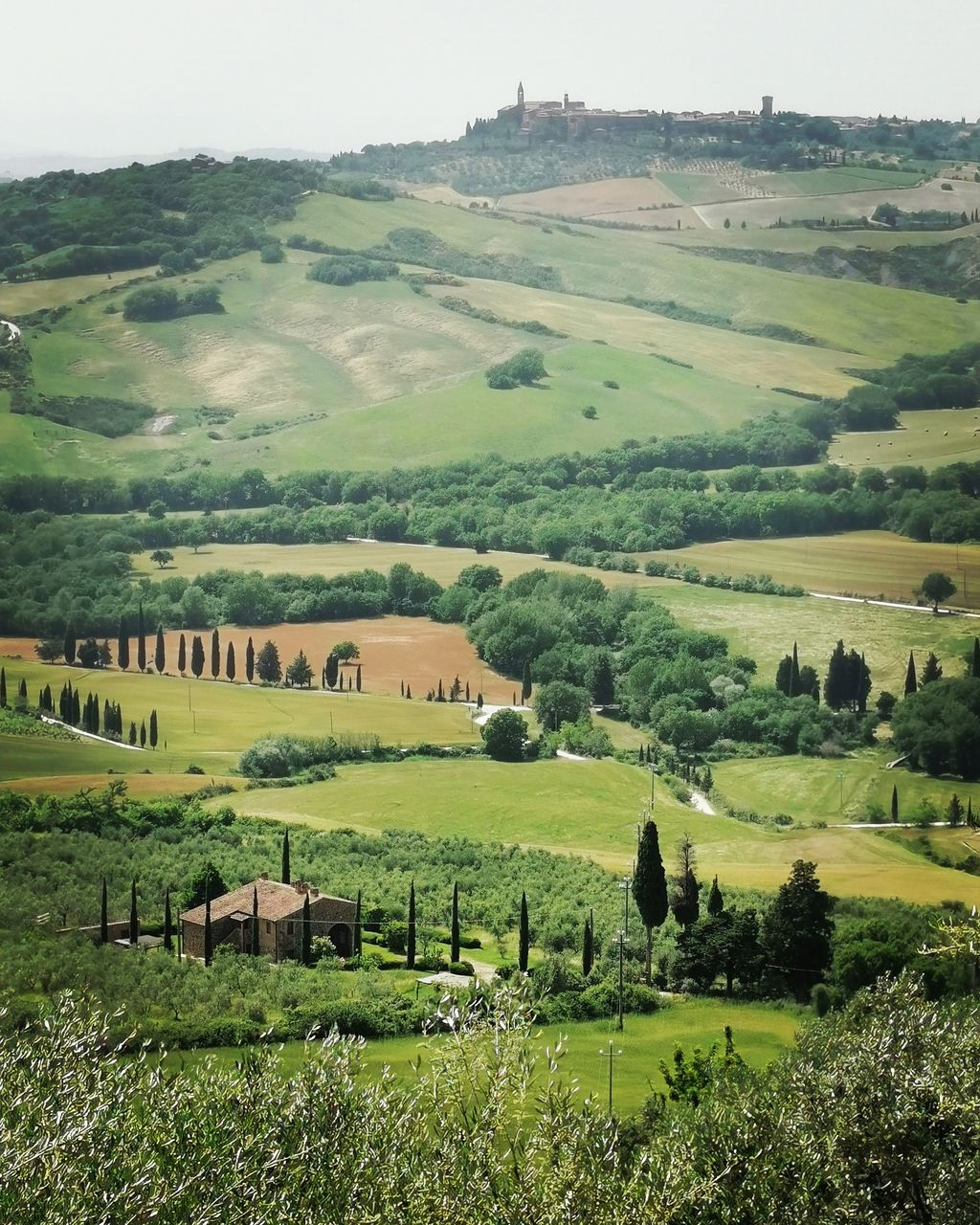 SCENIC VIEW OF FARM