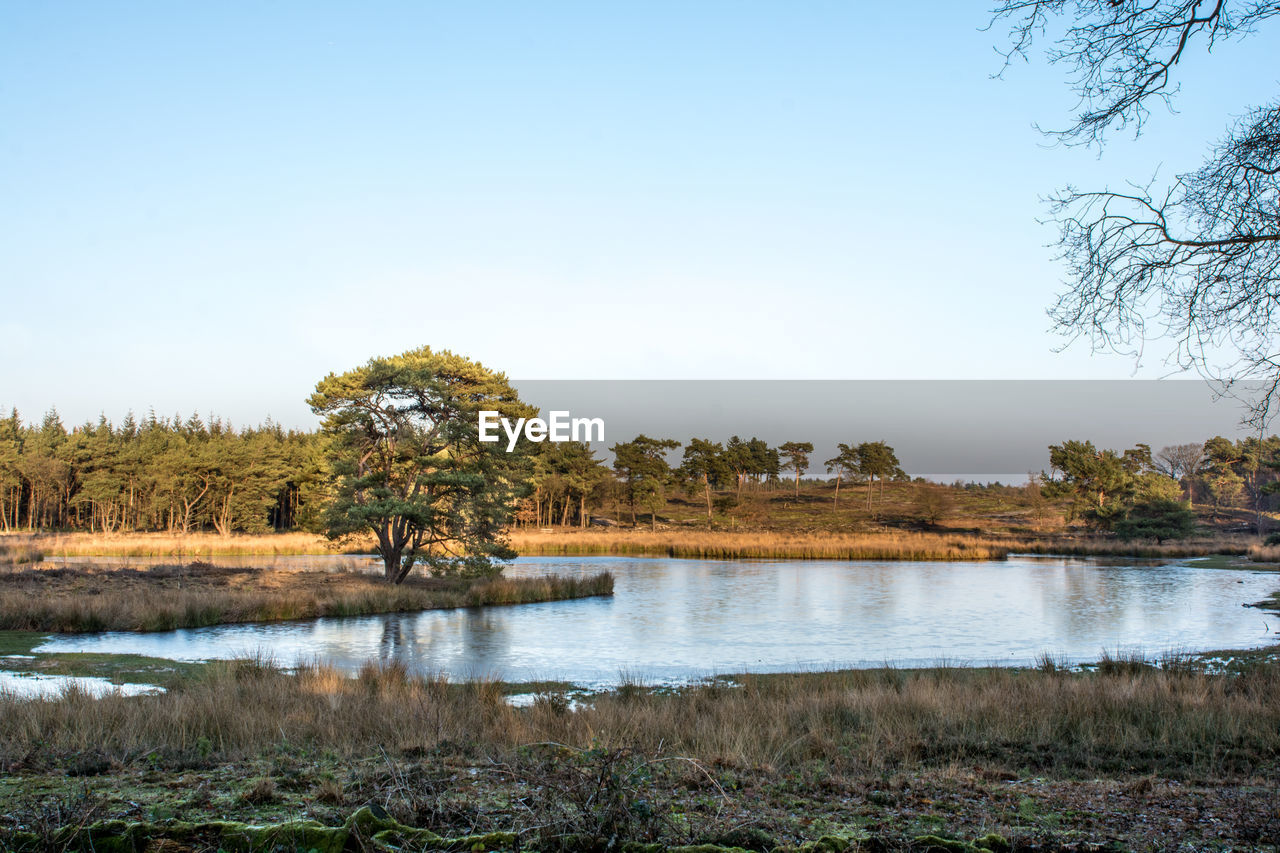 Scenic view of lake against clear sky