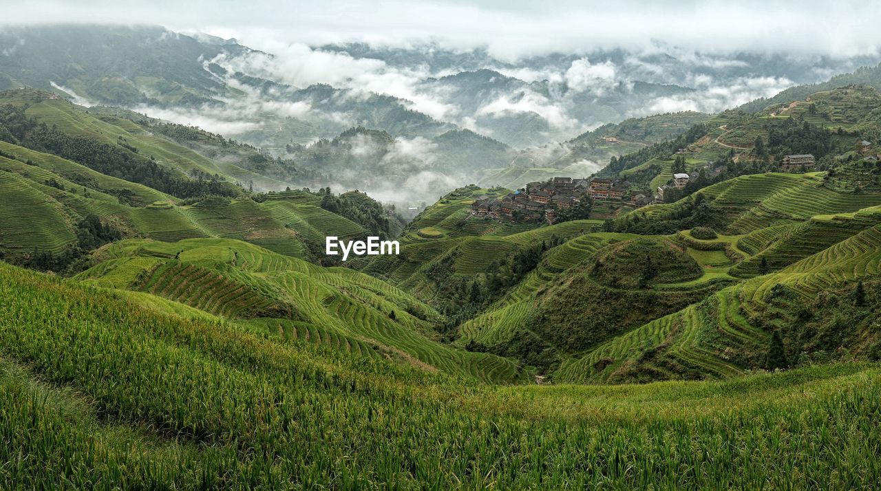 High angle view of rice terraces