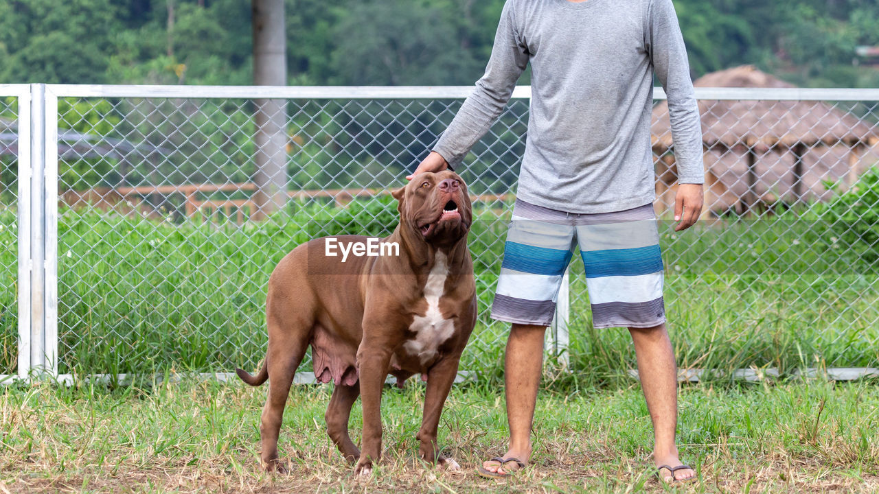 mammal, animal themes, domestic animals, animal, one animal, pet, one person, casual clothing, adult, fence, standing, lifestyles, men, nature, grass, canine, day, leisure activity, dog, full length, plant, horse, livestock, outdoors, front view, friendship, women, field, holding, animal wildlife, emotion, child, young adult, childhood, agriculture