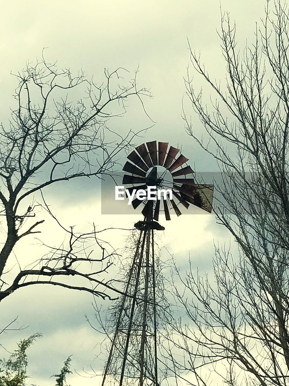 LOW ANGLE VIEW OF FERRIS WHEEL AGAINST BARE TREES