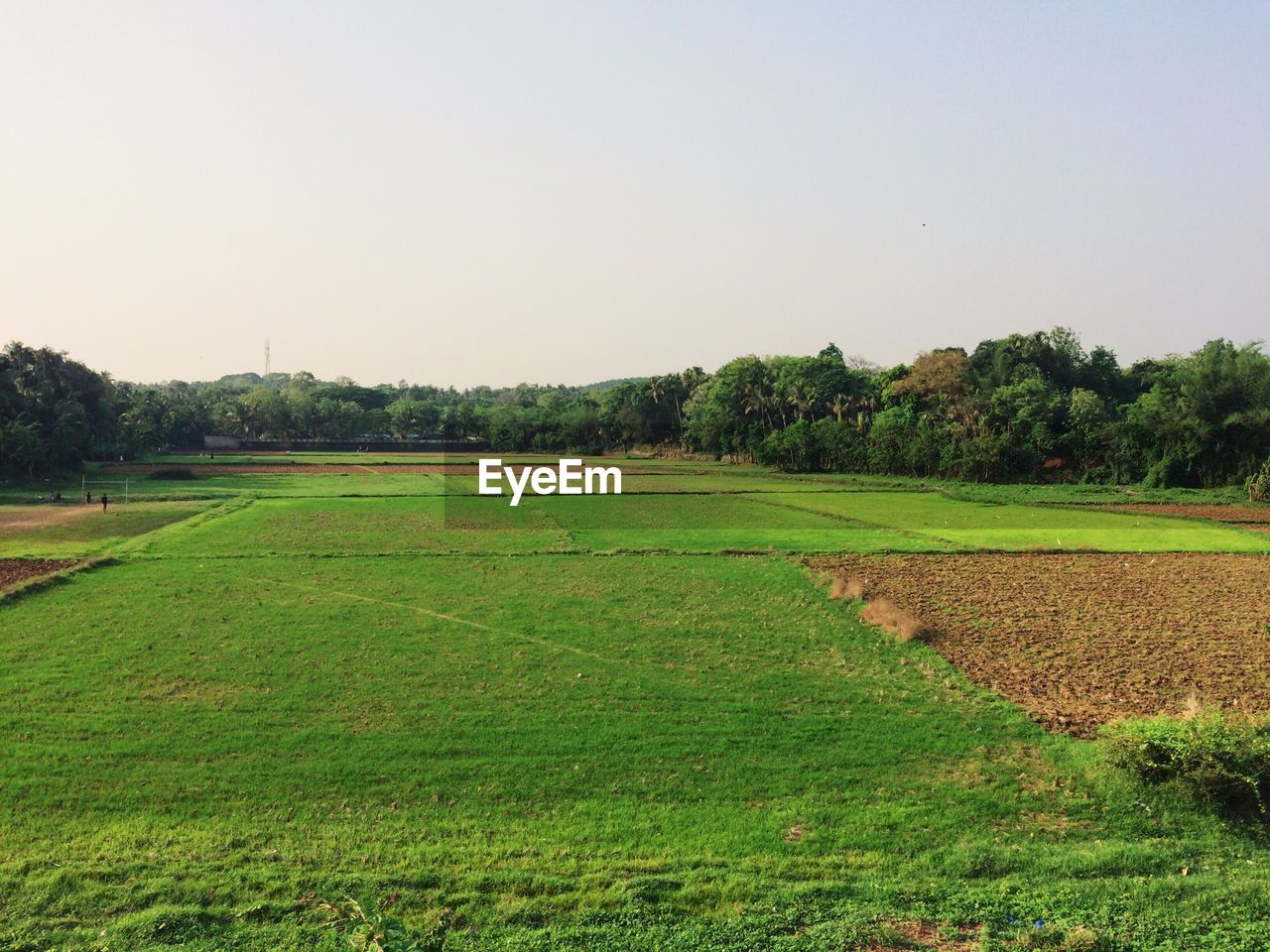 SCENIC VIEW OF FARM AGAINST SKY