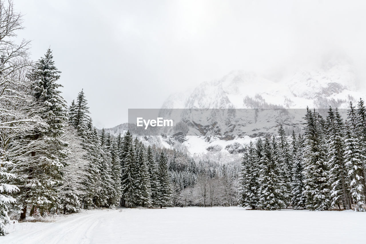 SNOW COVERED LANDSCAPE AGAINST SKY