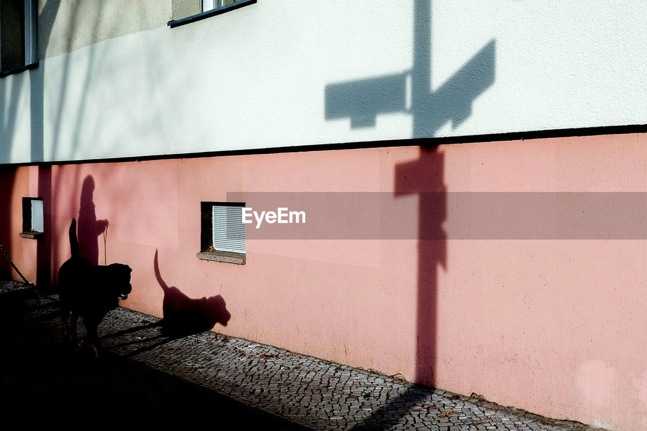 Shadow of woman with dog on wall