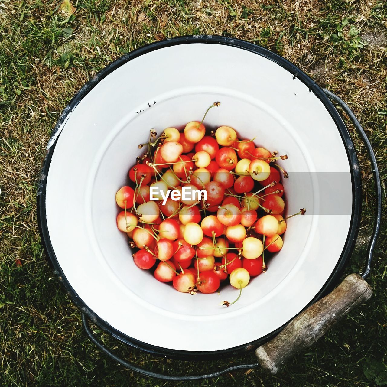 High angle view of cherries in plate on bucket outdoors