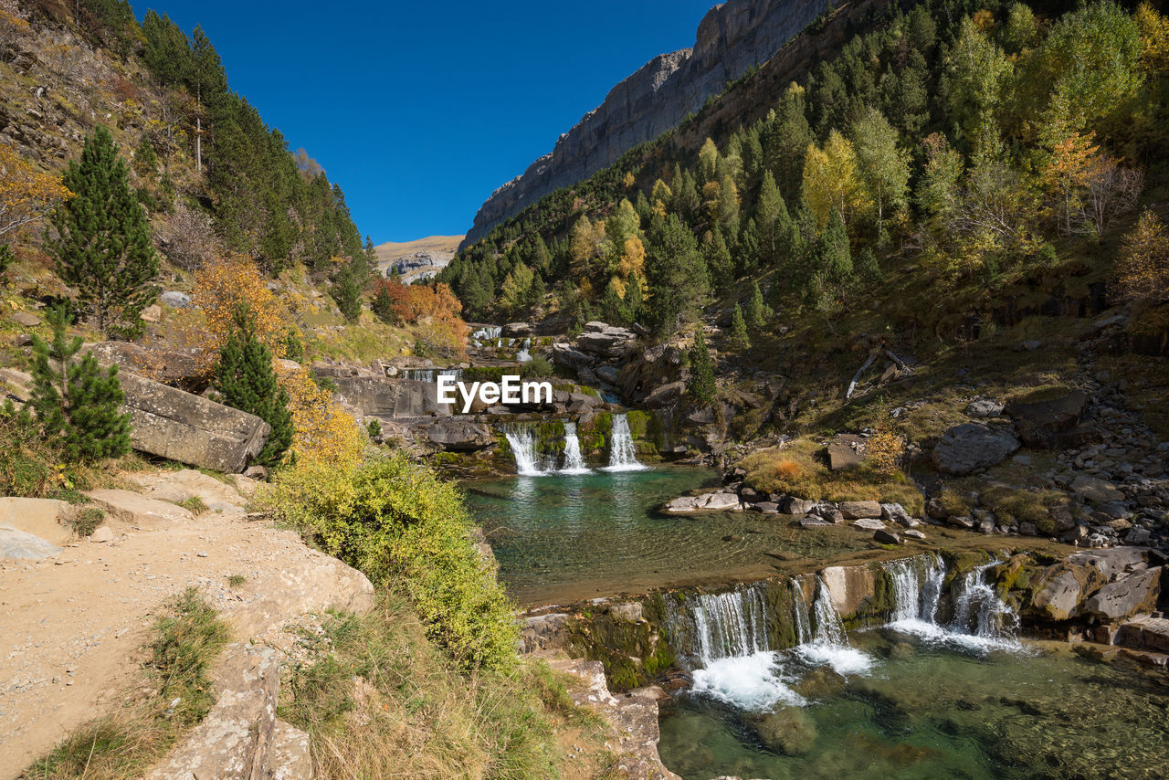 PLANTS GROWING BY RIVER AGAINST SKY