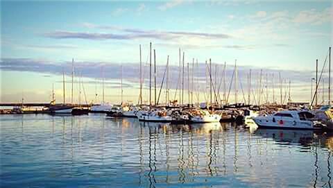 SAILBOATS IN HARBOR