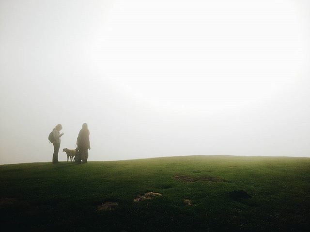 VIEW OF GRASSY FIELD