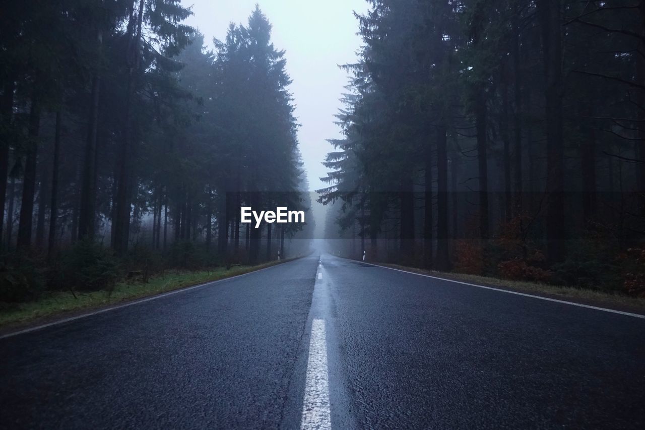 Empty road amidst trees during rainy season