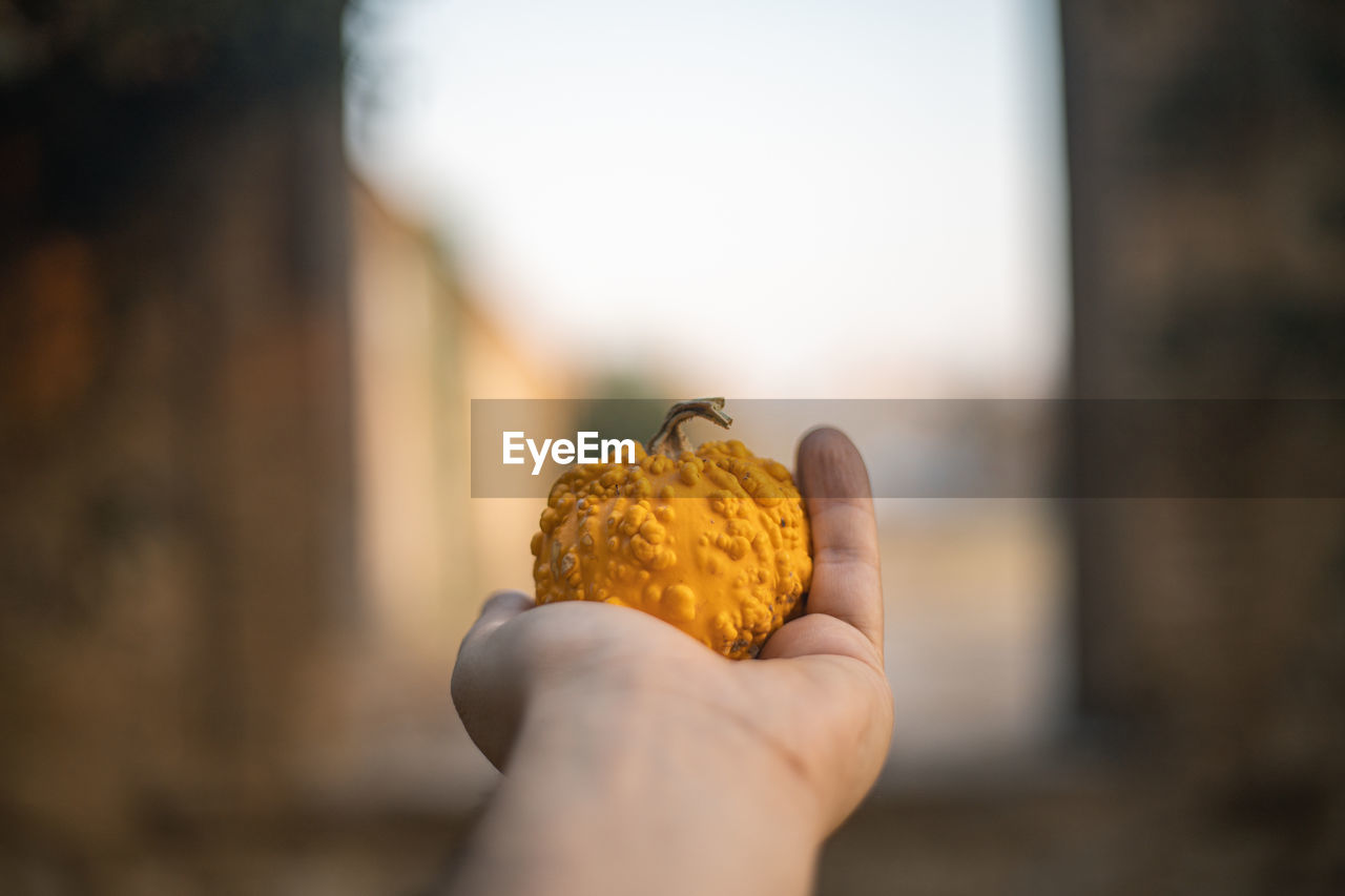 Close-up of person holding ice cream cone