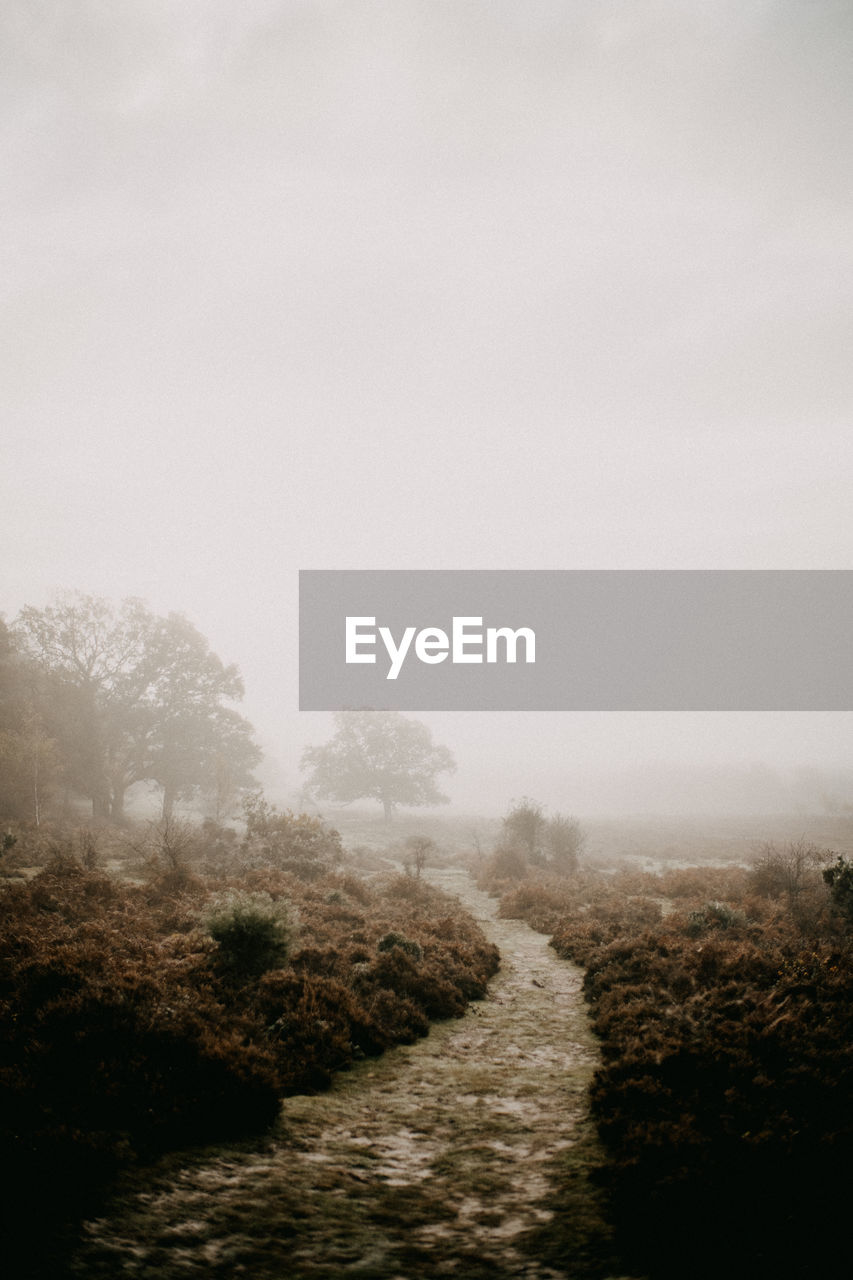 Scenic view of landscape against sky during foggy weather