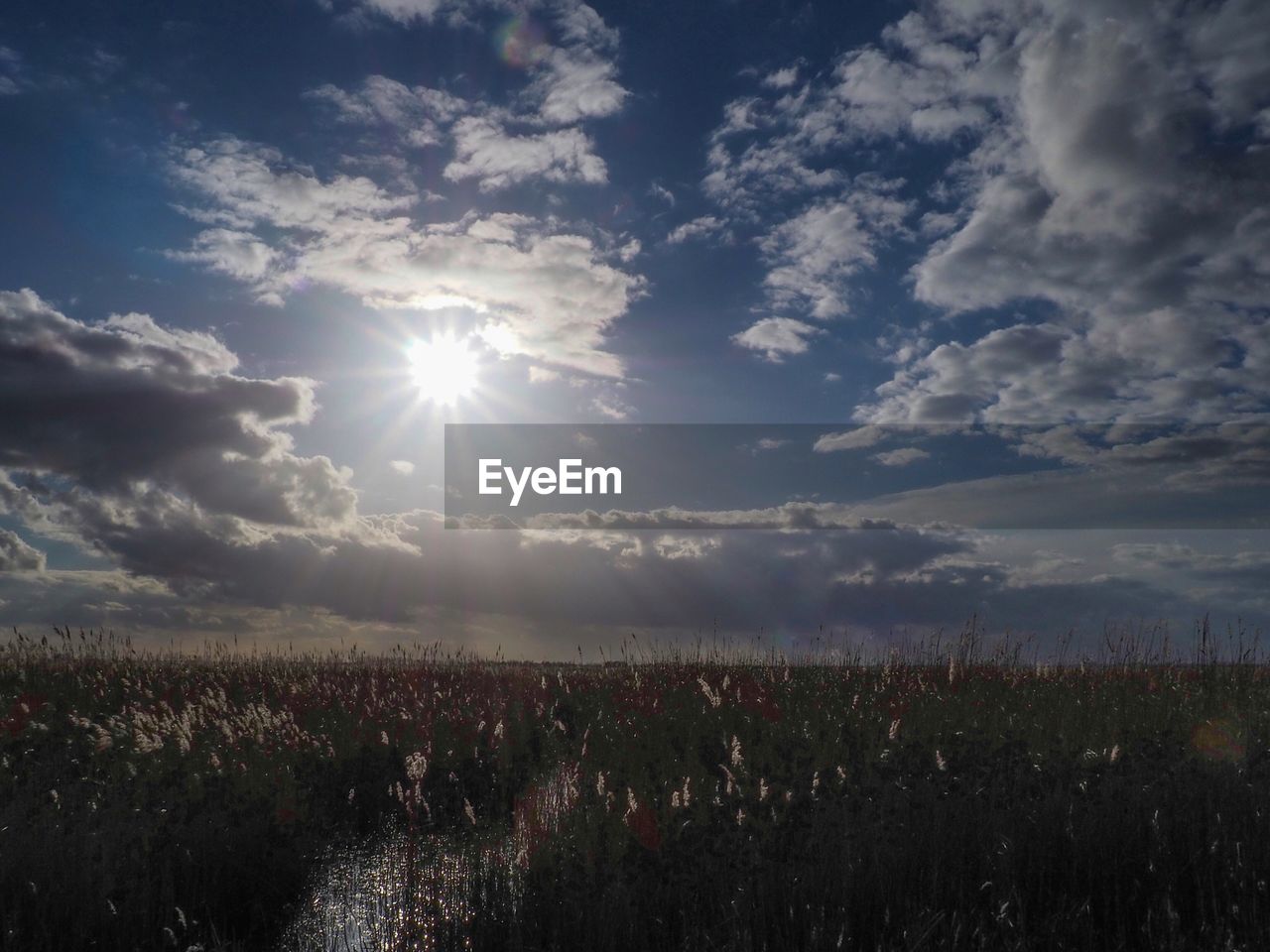 SCENIC VIEW OF BRIGHT SUN OVER LAND