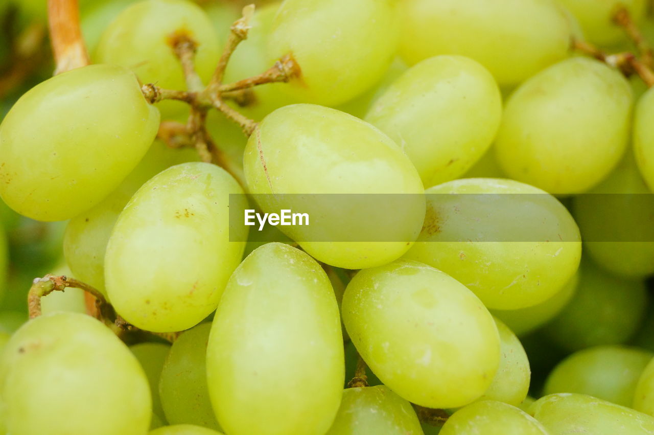 FULL FRAME SHOT OF FRUITS