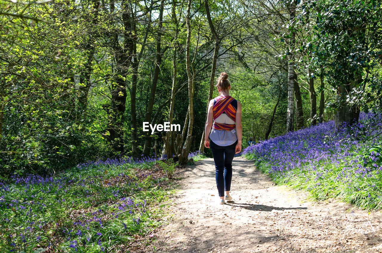 Rear view of woman walking on footpath amidst trees