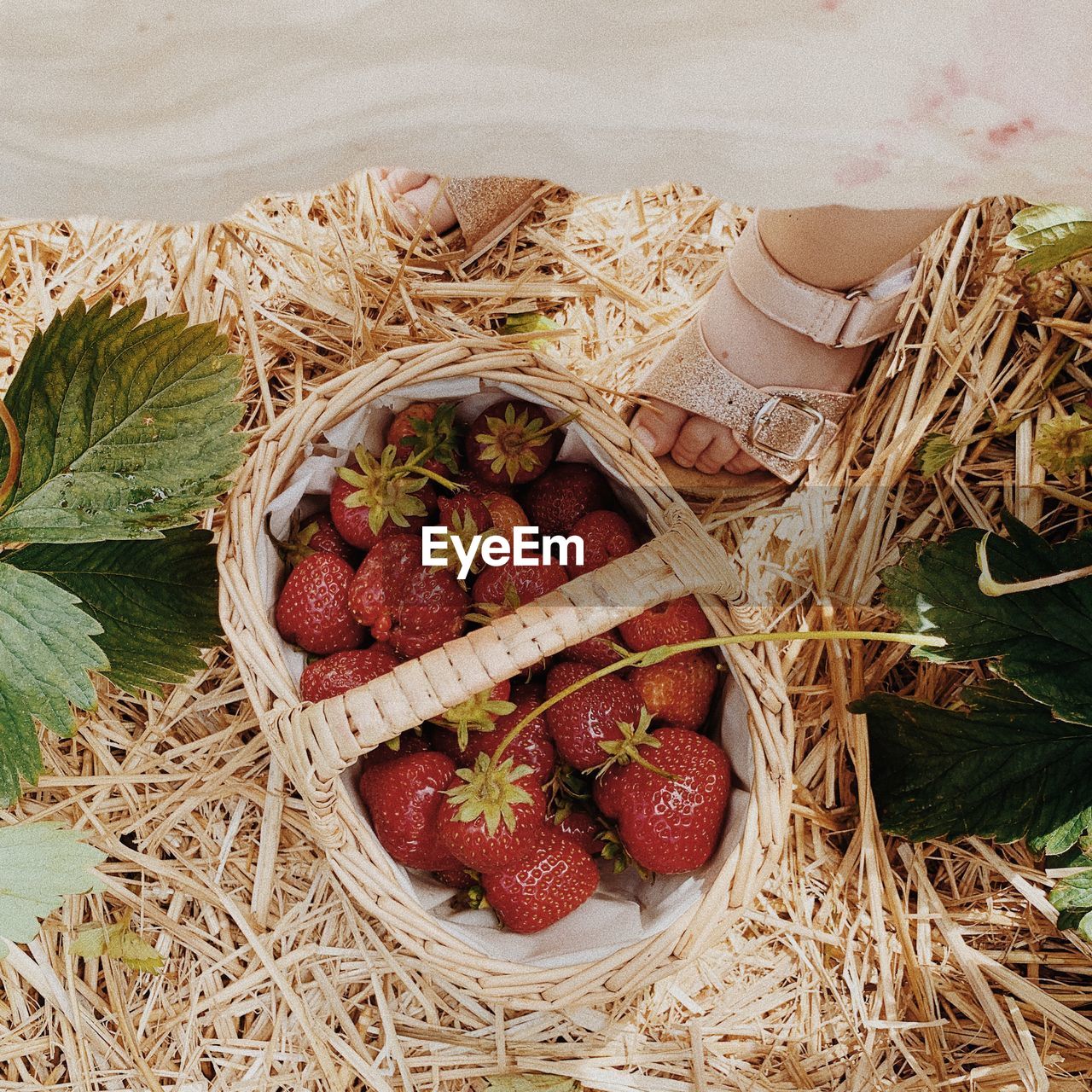 High angle view of strawberries in basket